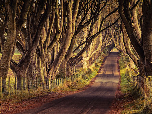 Belfast Titanic Museum Sightseeing Trip Prices