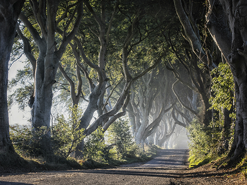 Belfast Northern Ireland Giants Causeway Sightseeing Excursion Tickets