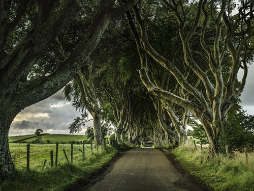 Belfast UNESCO Sightseeing Tour Reservations