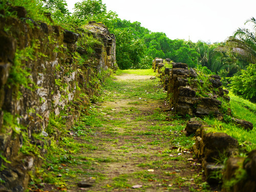 Belize Altun Ha Mayan Temple and Belizean Food Tasting Excursion