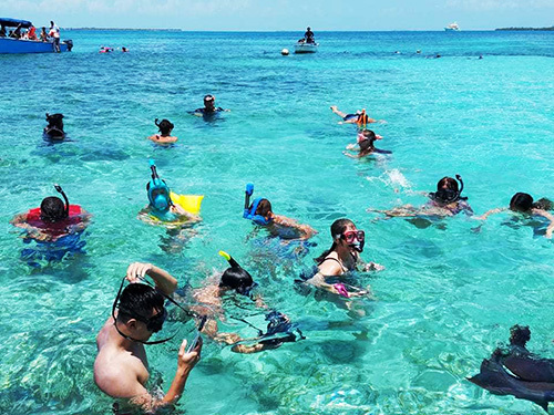 Belize Tarpon Feeding Snorkeling Excursion Booking