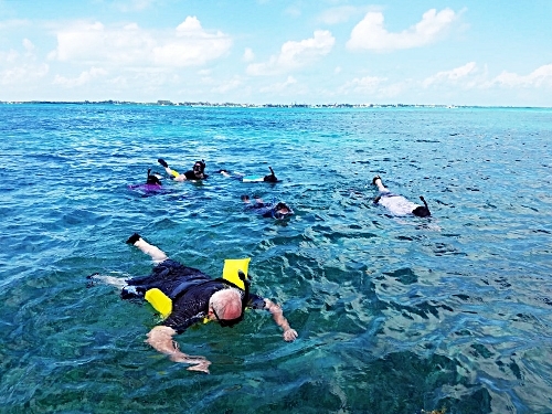 Belize Belize City Tarpon Feeding Snorkeling Cruise Excursion Reviews
