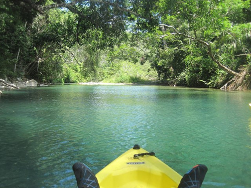 Belize Belizean Lunch Kayaking Excursion Prices