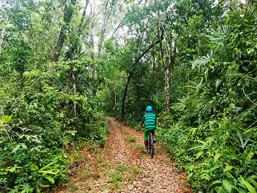Belize Family Biking Excursion Reservations