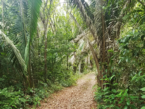 Belize Old City Biking Trip Reviews