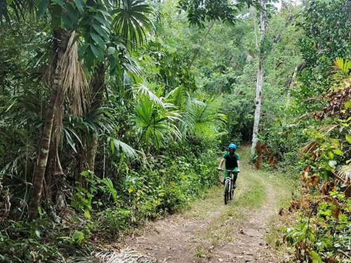 Belize Sightseeing Biking Shore Excursion Cost