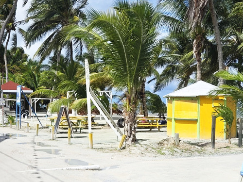 Belize Caye Caulker Tropical Island Escape Excursion