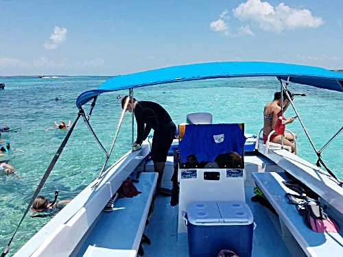 Belize Nurse Shark Snorkeling Shore Excursion Reviews