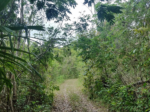 Belize Wildlife Biking Excursion Tickets