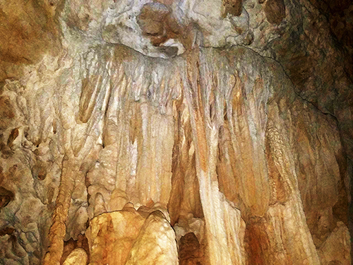 Belize City Cave Branch River Adventure Excursion Booking