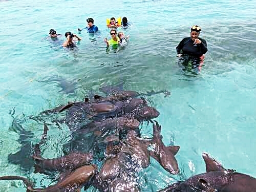 Belize Belize City Family Snorkeling Cruise Excursion Cost