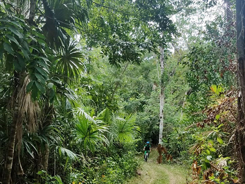 Belize Family Biking Tour Tickets