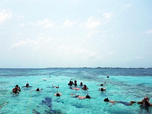 Belize Tropical Fish Snorkeling Cruise Excursion Reviews