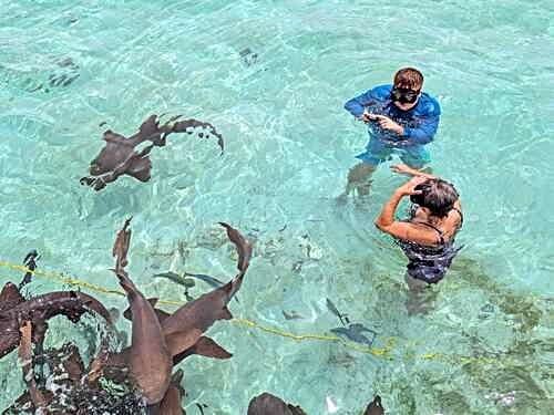 Belize Hol Chan Marine Reserve & Shark Ray Alley Snorkel Excursion Adventure with Caye Caulker Island Beach Break