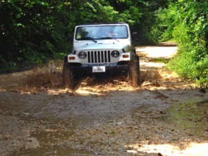 Belize Jungle Jeep Safari Adventure Excursion with Lunch