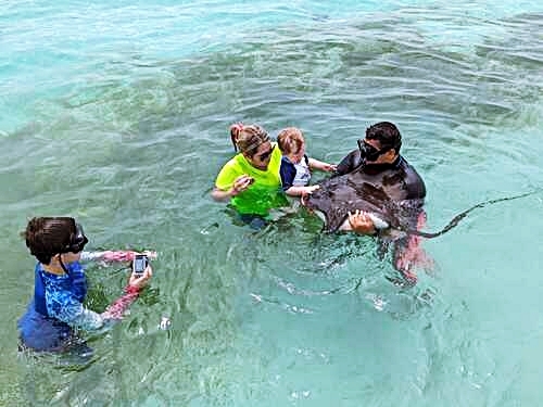 Belize Belize City Shark Ray Snorkeling Shore Excursion Booking