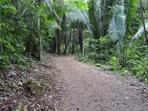 Belize Nohoch Che'en Caves Branch Cave Tubing Excursion