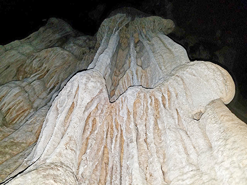 Belize City Zip Line Adventure Trip Tickets