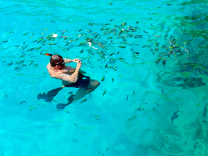 Belize Shark Ray Alley and Hol Chan Marine Park Snorkel Excursion by Air