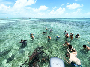 Belize Shark Ray Alley and Hol Chan Marine Reserve Snorkel Excursion