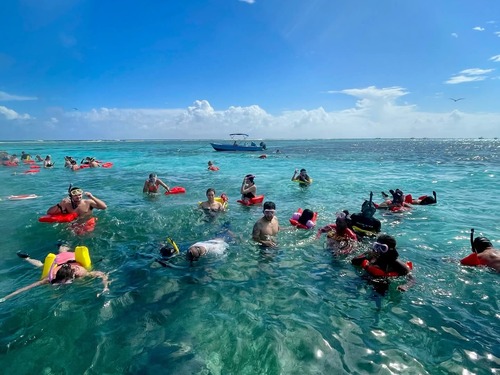 Belize Shark Ray Alley Snorkeling and Caye Caulker Exploration Excursion