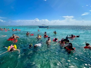 Belize Shark Ray Alley Snorkeling and Caye Caulker Exploration Excursion