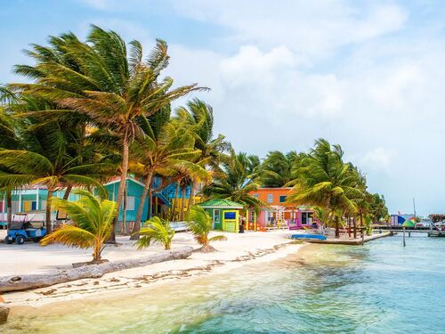 Belize Shark Ray Alley Snorkeling and Caye Caulker Exploration Excursion