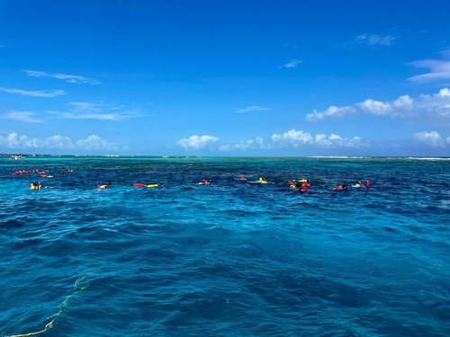 Belize Shark Ray Alley Snorkeling and Caye Caulker Exploration Excursion