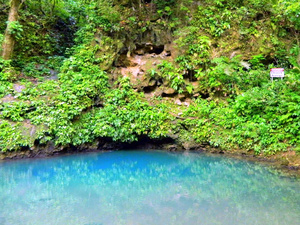 Belize St. Herman's Inland Blue Hole National Park Excursion with Lunch