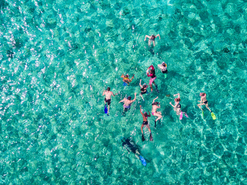 Belize shark ray alley Cruise Excursion Booking