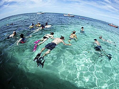 Belize Belize City Coral Gardens Snorkeling Shore Excursion Booking