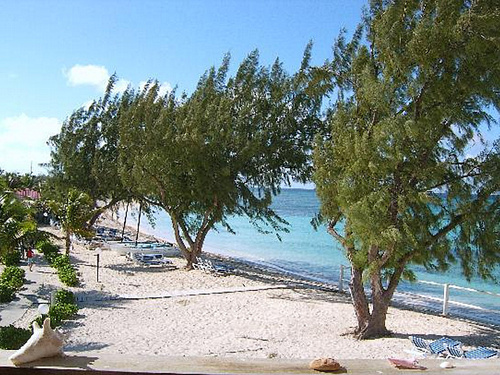 Grand Turk beach break Shore Excursion Reviews