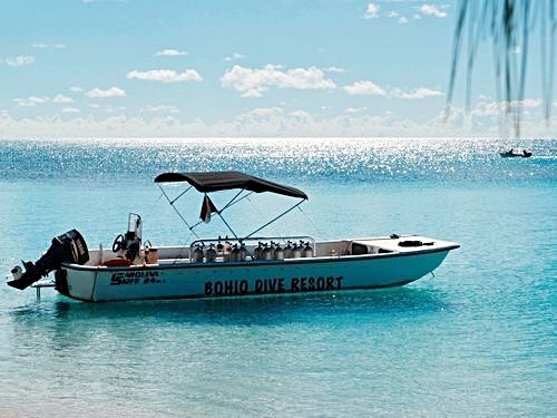 Grand Turk snorkel tour Shore Excursion Reviews