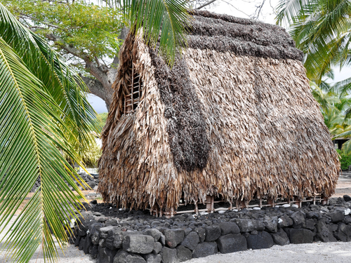 Big Island (Kona) Kuamo'o Tour Cost