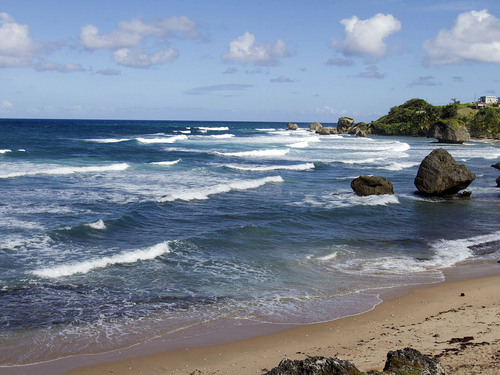 Barbados  West Indies (Bridgetown) Flower Forest Reviews