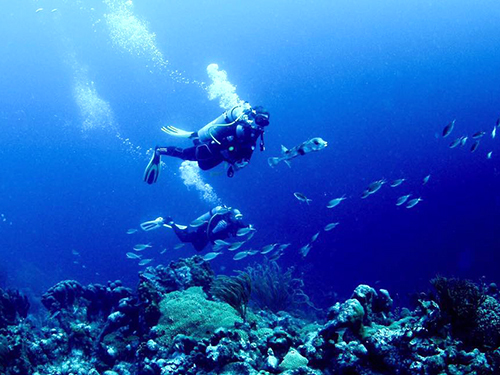 Bonaire Leeward Antilles National Park Diving Trip Reservations