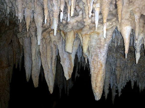 Bonaire Leeward Antilles Stalactites Tour Reviews