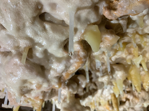 Bonaire Stalactites Trip Prices