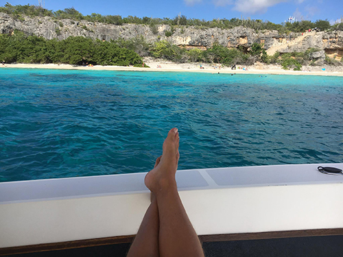 Bonaire Leeward Antilles Reefs Shore Excursion Booking