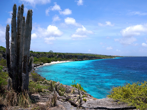 Bonaire Family Sightseeing Shore Excursion Tickets