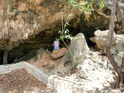 Bonaire Leeward Antilles Limestone Cruise Excursion Booking