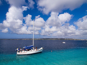 Bonaire Land and Sea Excursion