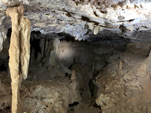 Bonaire Walking Excursion Tickets