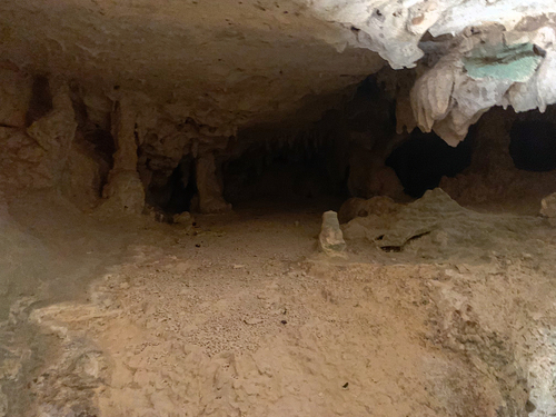 Bonaire Wet Caves Shore Excursion Tickets