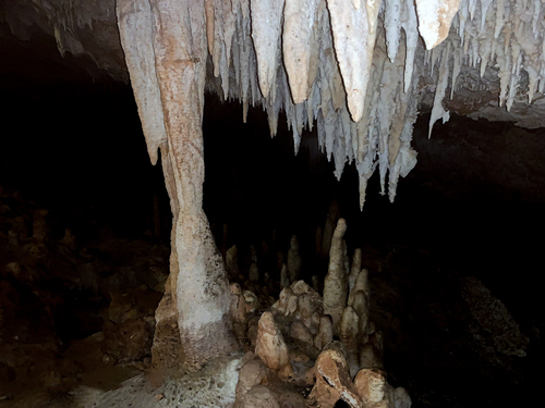 Bonaire Dry Caves Tour Reviews