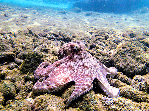 Bonaire Gear Included Diving Tour Reservations