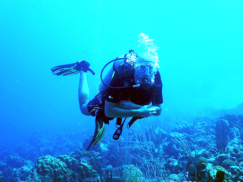 Bonaire Certified Diving Diving Tour Reviews