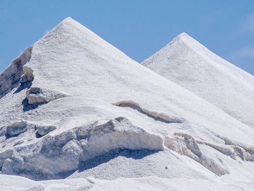 Bonaire Leeward Antilles Pink Lagoon Sightseeing Trip Reservations