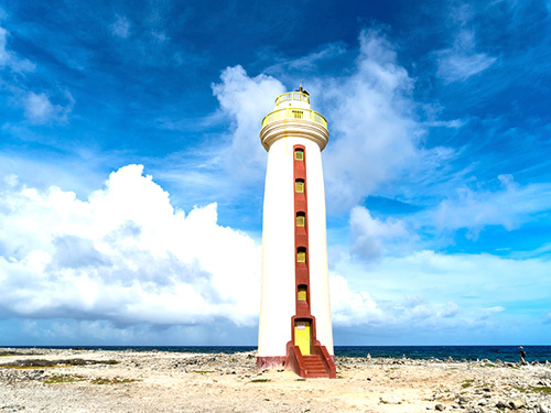 Bonaire Salt Flats Sightseeing Trip Prices