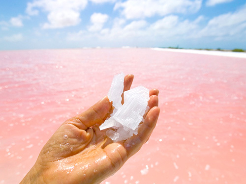Bonaire Leeward Antilles Salt Flats Sightseeing Cruise Excursion Tickets